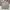 New Balance Vintage Y2K Windbreaker Pria gray photo 2