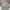 New Balance Vintage Y2K Windbreaker Pria Gray