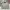 New Balance Vintage Y2K Windbreaker Pria Gray
