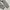 New Balance Vintage Y2K Windbreaker Pria gray photo 5