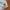WHO.A.U Streetwear Futurist Hoody Pria gray photo 6