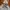 WHO.A.U Streetwear Futurist Hoody Pria gray photo 2