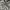 WHO.A.U Streetwear Futurist Hoody Pria gray photo 3
