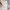 Tete Homme Casual Casual shirt Pria white photo 8
