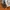 Under Armour Sportswear Hoody Pria white gray photo 3