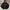Y2K Gorpcore Windbreaker Pria Black
