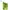 Formal Pants Pria Green