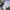 Nike Streetwear Sportswear Sneakers Pria white gray photo 6