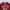 Abercrombie & Fitch Streetwear Grunge Hoody Pria burgundy photo 3