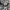 Tsumori Chisato Y2K Emo Crop top Wanita gray photo 3