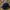 Polo Ralph Lauren Vintage Streetwear Hat Pria Navy