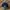 Polo Ralph Lauren Vintage Streetwear Hat Pria navy photo 3