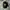 Stone Island Casual Hat Pria black photo 1