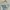 Vintage Streetwear T-shirt Pria cream photo 3