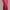 ZARA Bodycon dress Wanita red photo 1