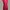 ZARA Bodycon Dress Wanita Red
