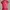 ZARA Bodycon dress Wanita red photo 2