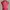 ZARA Bodycon Dress Wanita Red