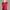 ZARA Bodycon dress Wanita red photo 3