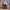 VANS Casual Sneakers Pria navy photo 5