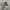 New Balance Streetwear Sneakers Pria brown photo 1