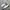 Adidas Casual Sneakers Pria tan photo 1