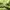 Gorpcore Windbreaker Pria green photo 2