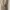 H&M Gorpcore Goth Denim jacket Pria cream photo 3