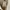 H&M Gorpcore Goth Denim Jacket Pria Cream