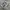 Salomon Streetwear Sneakers Pria multicolor photo 1