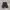 Streetwear Casual Jeans Pria black gray photo 1