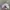 Le Coq Sportif Luxury Hat Pria white photo 3