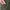 Merrell Streetwear Sportswear Tracksuit Pria green photo 8