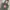 Fjällräven Casual Backpack Wanita gray photo 3