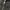 McGregor Casual Formal shirt Pria gray photo 4