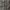 McGregor Casual Formal shirt Pria gray photo 5