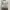 Hush Puppies Casual Cardigan Wanita multicolor photo 1