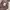 Nike Streetwear Casual Track jacket Pria brown photo 4