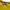 Bally Grunge Avant Garde Crop top Wanita yellow photo 3