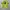 Puma Streetwear Jersey Pria multicolor photo 7