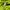 Puma Streetwear Jersey Pria multicolor photo 6