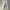 Lolita Coquette Pencil skirt Wanita white photo 1