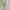 Lolita Coquette Pencil skirt Wanita white photo 3