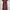Cabane de Zucca Casual Maxi dress Wanita burgundy photo 4