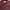Cabane de Zucca Casual Maxi dress Wanita burgundy photo 6