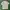 Stone Island Y2K Sportswear T-shirt Pria gray photo 2