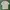 Stone Island Y2K Sportswear T-shirt Pria Gray