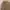 L.L.Bean Vintage Casual Casual shirt Pria pink photo 2
