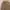 L.L.Bean Vintage Casual Casual Shirt Pria Pink