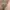 L.L.Bean Vintage Casual Casual shirt Pria pink photo 3